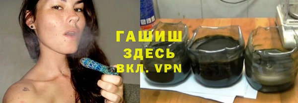 гашик Алексеевка