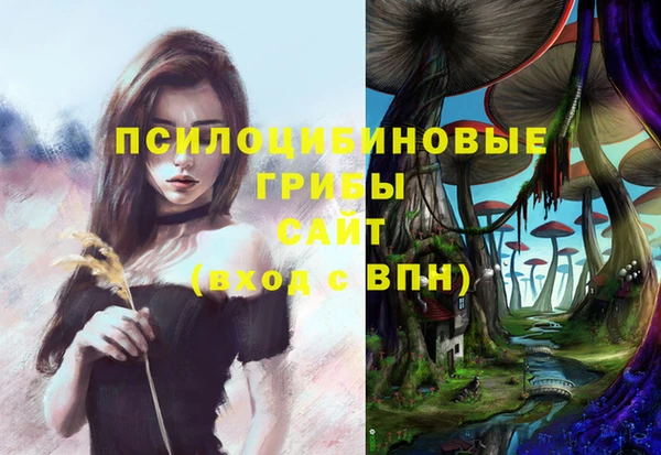 мяу мяу мука Алзамай