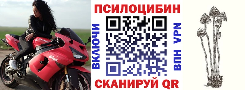 KRAKEN зеркало  Кирс  Псилоцибиновые грибы мицелий 